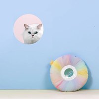 漸變色伊莉莎白圈 (三色)